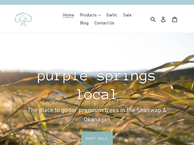purplespringslocal.com homepage screenshot