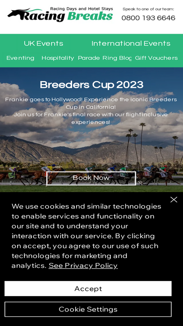racingbreaks.com