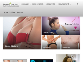 'defneerkara.com' screenshot