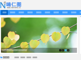 'nanrentu.cc' screenshot