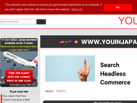 'youinjapan.net' screenshot