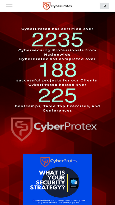 cyberprotex.com