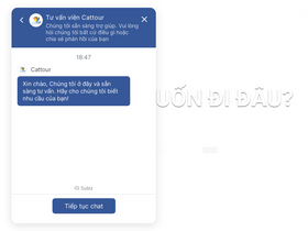 'cattour.vn' screenshot