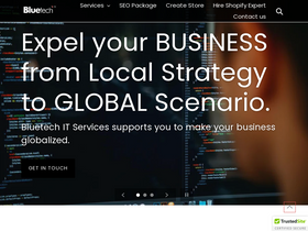 Bluetech IT Services homepage screenshot