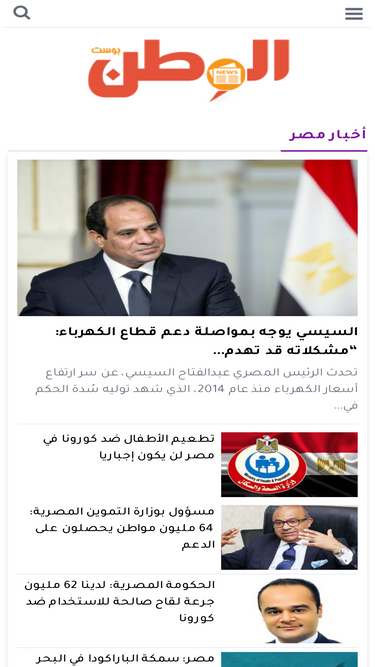 alwatanpost.net