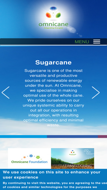 omnicane.com