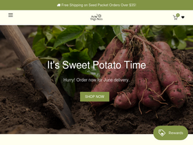Website Logo