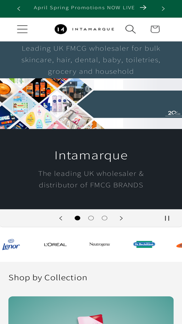 intamarquewholesale.com