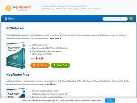 'top-password.com' screenshot