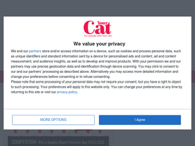 'yourcat.co.uk' screenshot