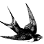 donnac.com