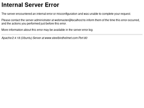 'steelbirdhelmet.com' screenshot