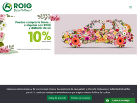 'roig.com' screenshot