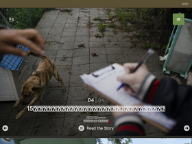 'wuo-wuo.com' screenshot