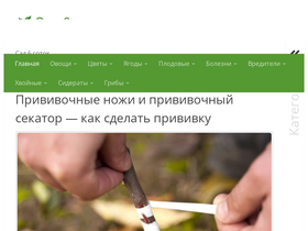 'sad6sotok.ru' screenshot