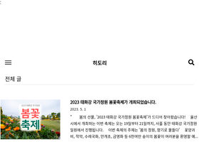 'hidori.kr' screenshot