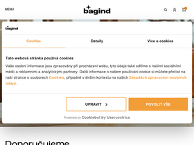 'bagind.cz' screenshot