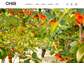 chiachong.com homepage screenshot