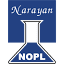 narayan-pigments.com