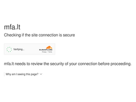 'mfa.lt' screenshot