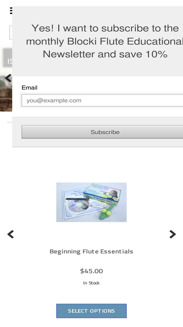 blockiflute.com
