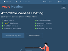 'asurahosting.com' screenshot