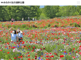 'michinoku-park.info' screenshot