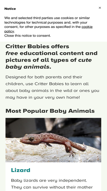 critterbabies.com
