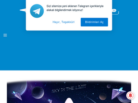 'telegramturkiye.com' screenshot