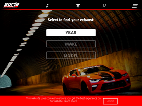 'borla.com' screenshot