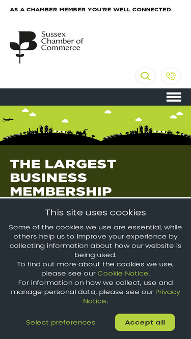 sussexchamberofcommerce.co.uk