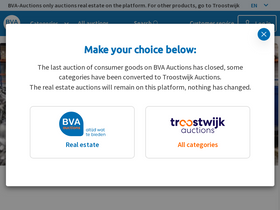 'bva-auctions.com' screenshot