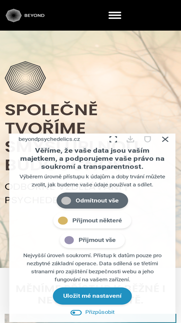 beyondpsychedelics.cz