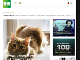 'tnv.ru' screenshot