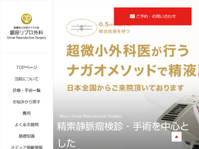 'ginzarepro.jp' screenshot
