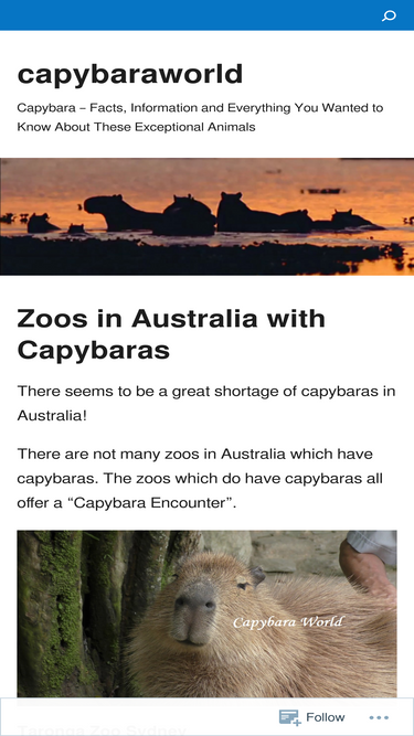 capybaraworld.wordpress.com