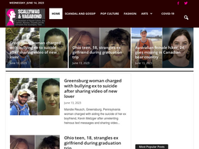 'scallywagandvagabond.com' screenshot