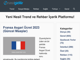 'nasilgidilir.net' screenshot