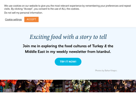 'vidarbergum.com' screenshot