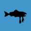salmonarms.com