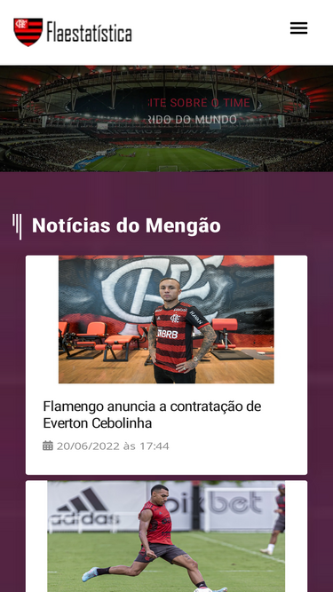 flaestatistica.com.br