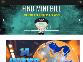 'stormbowling.com' screenshot