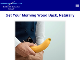 'morningsteel.com' screenshot