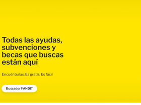 'ayudas-subvenciones.es' screenshot