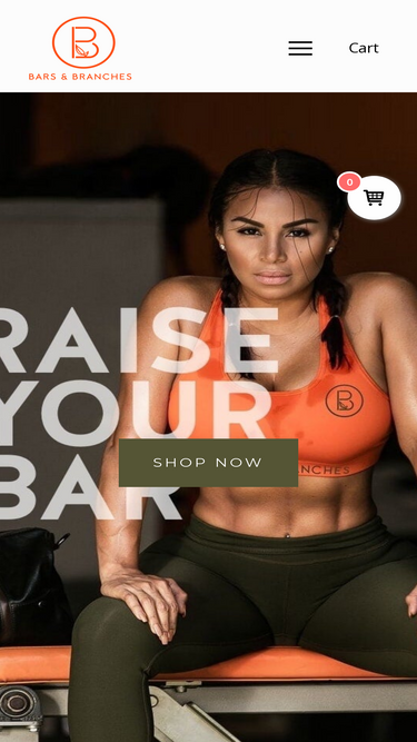 barsandbranches.com