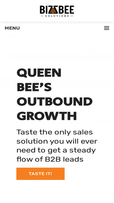 bizzbeesolutions.com