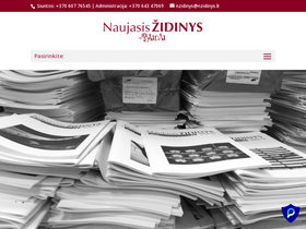 nzidinys.lt