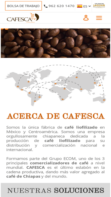 cafesca.com