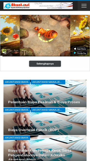 e-akuntansi.com