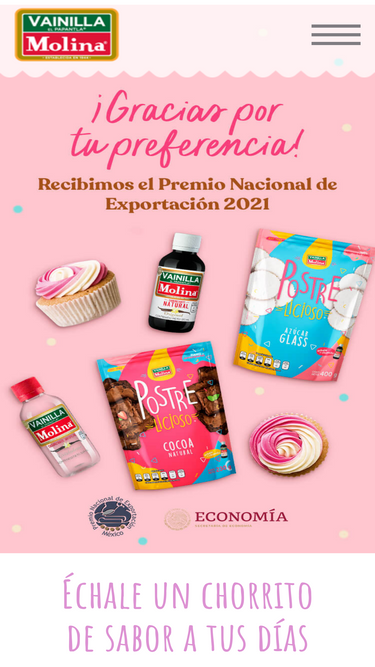vainillamolina.com